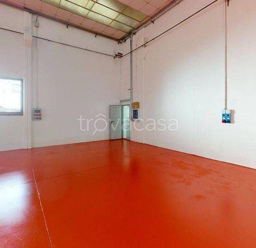 immagine annuncio 4 di 14