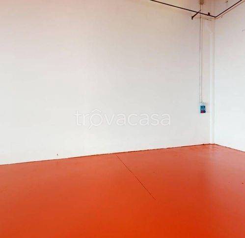 immagine annuncio 6 di 14