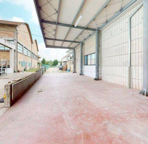 immagine annuncio 9 di 14