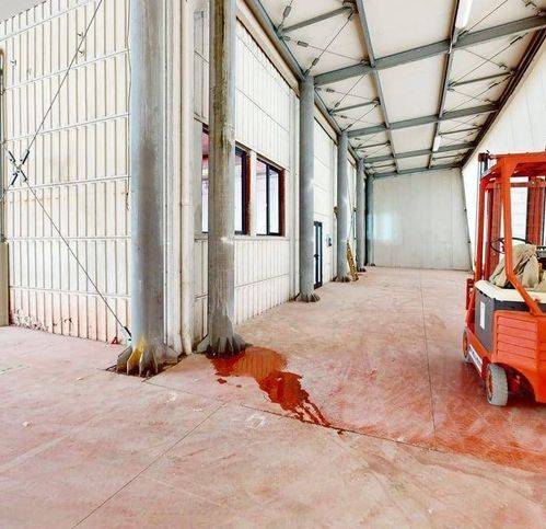 immagine annuncio 10 di 14