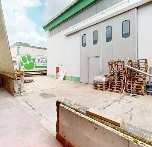 immagine annuncio 11 di 14