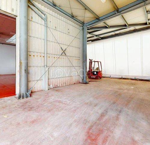 immagine annuncio 12 di 14