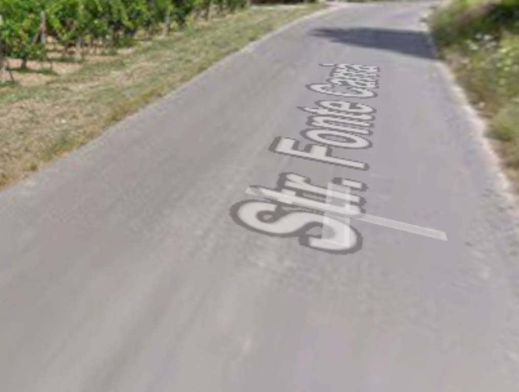 immagine annuncio 11 di 12