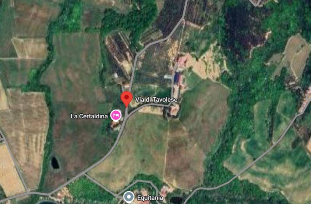 immagine annuncio 9 di 12