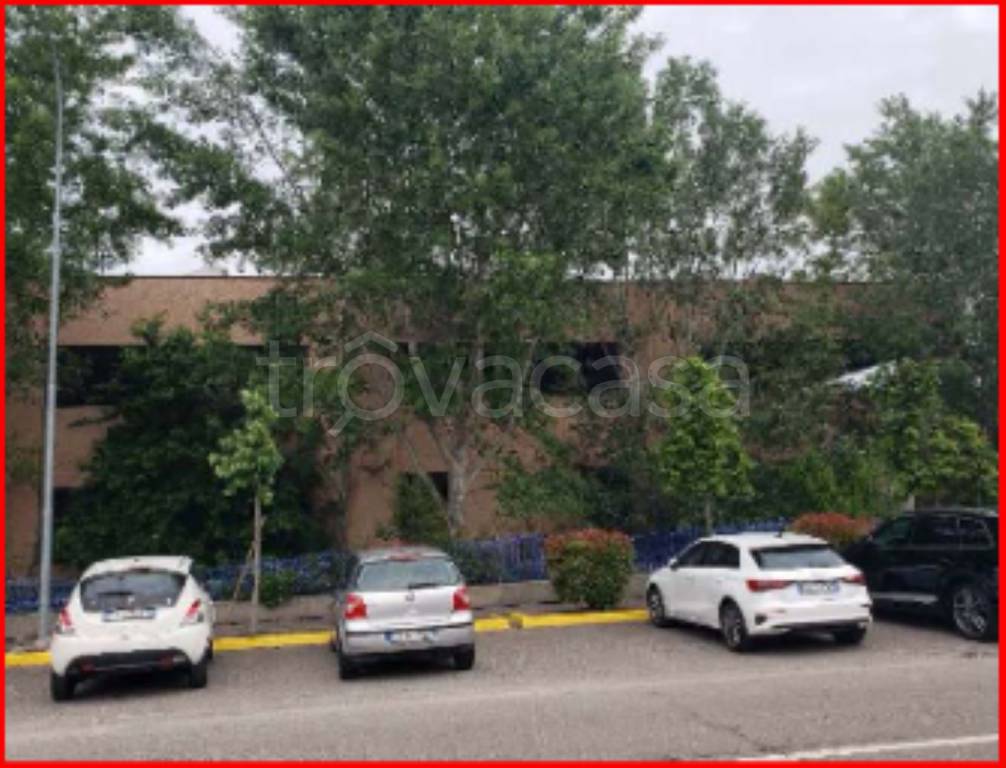 immagine annuncio 1 di 14