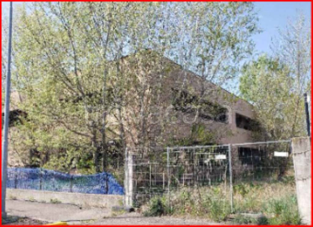 immagine annuncio 3 di 14