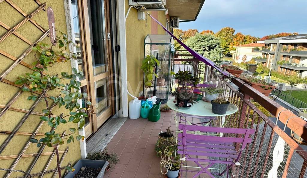 immagine annuncio 12 di 15