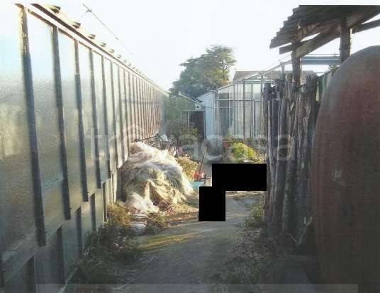 immagine annuncio 6 di 11