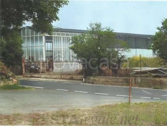 immagine annuncio 9 di 11