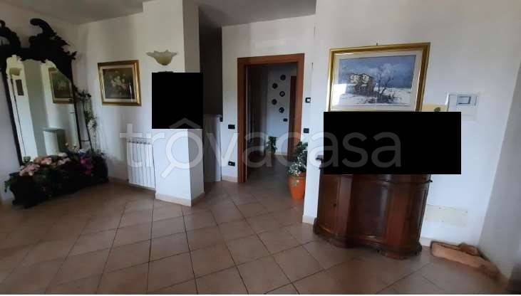 immagine annuncio 5 di 8