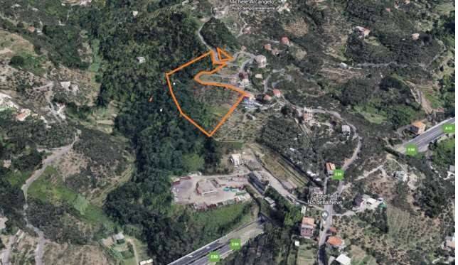 immagine annuncio 5 di 11