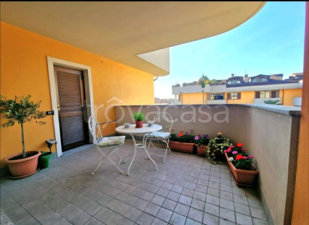 immagine annuncio 5 di 15