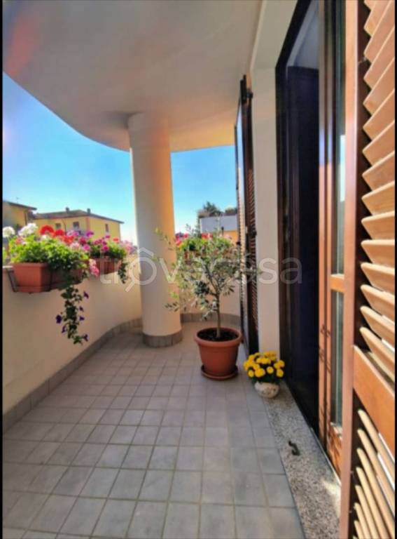 immagine annuncio 9 di 15