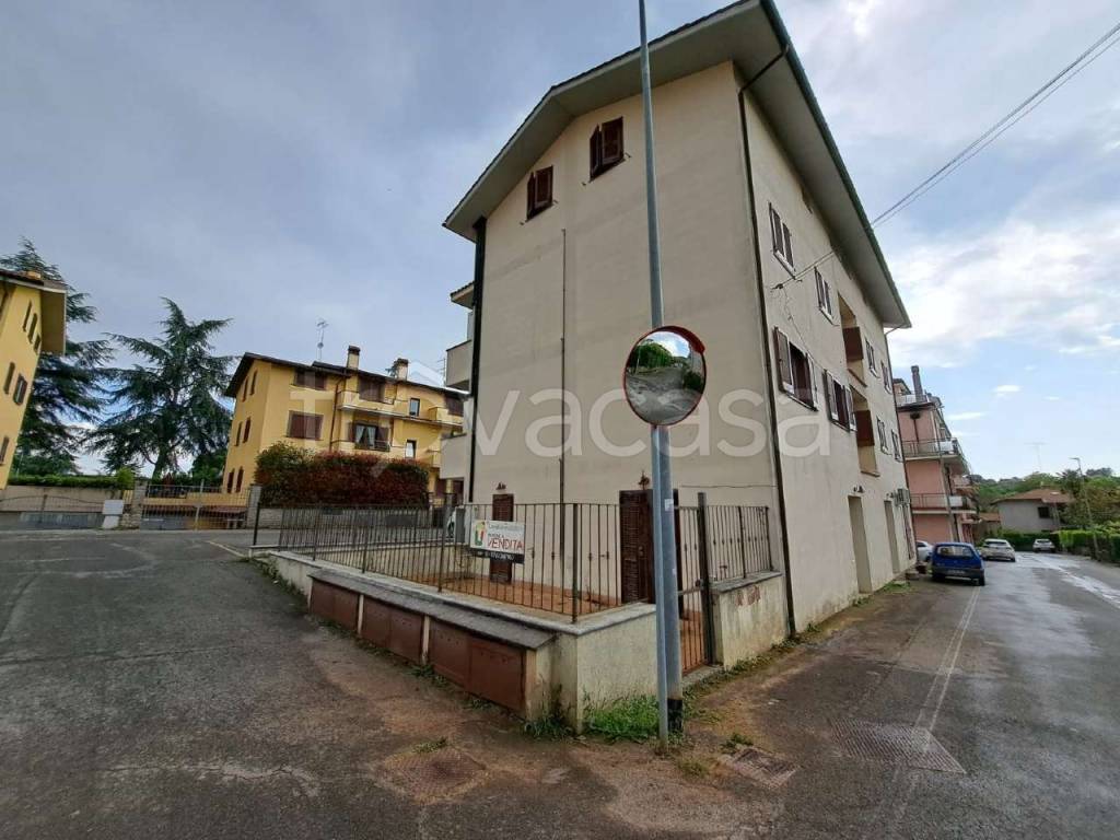 immagine annuncio 13 di 14