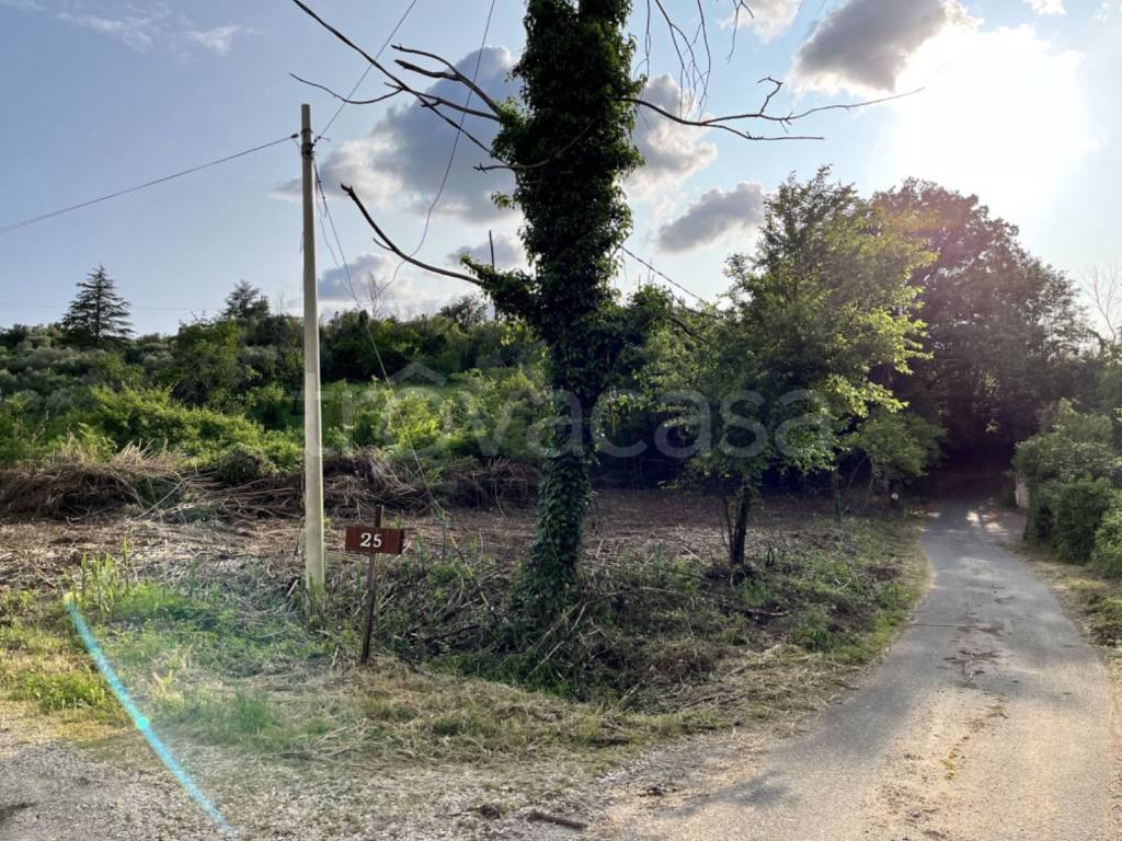 immagine annuncio 3 di 13