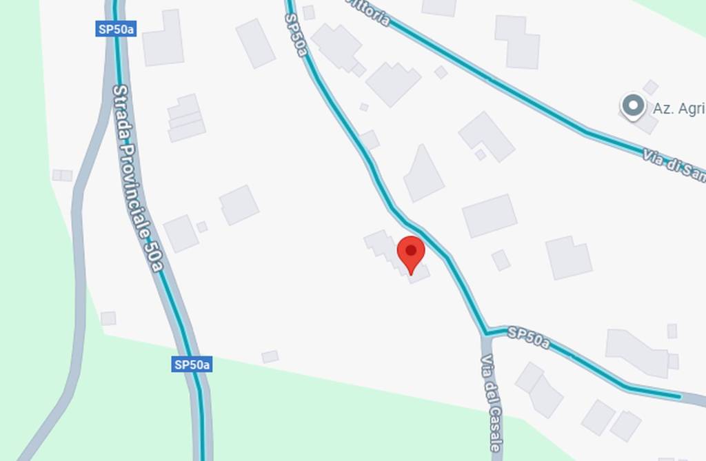 immagine annuncio 9 di 13