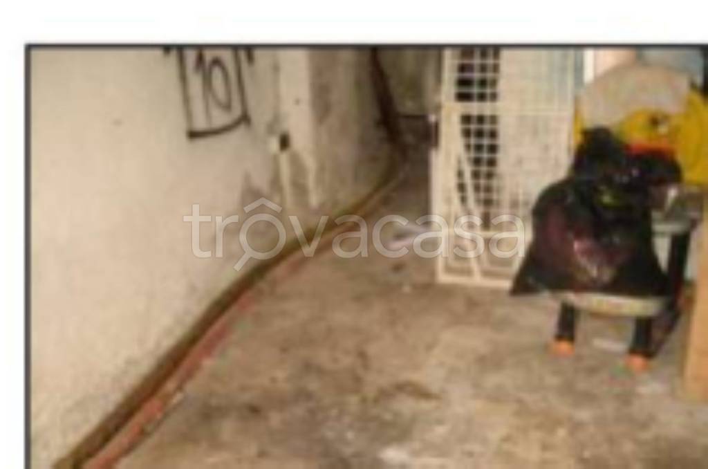 immagine annuncio 12 di 14