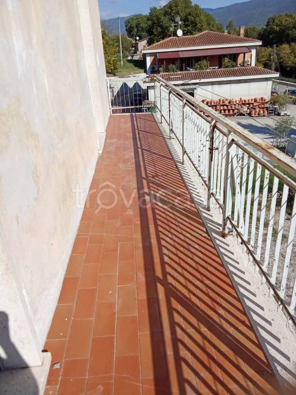 immagine annuncio 4 di 8