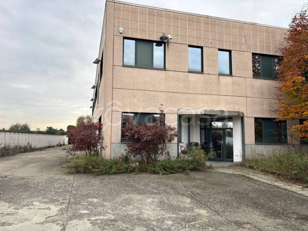 immagine annuncio 14 di 15