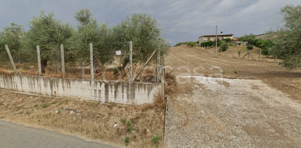 immagine annuncio 1 di 2