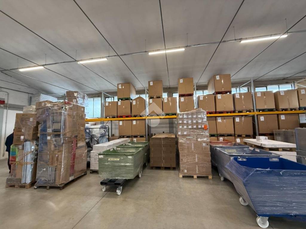 immagine annuncio 4 di 15