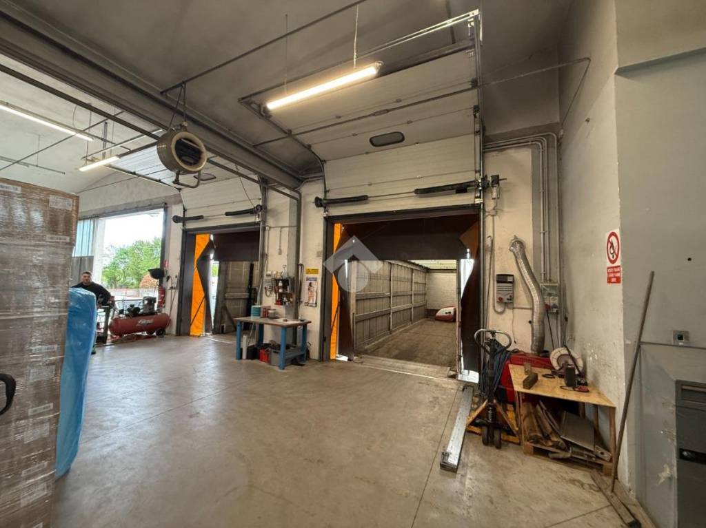 immagine annuncio 8 di 15