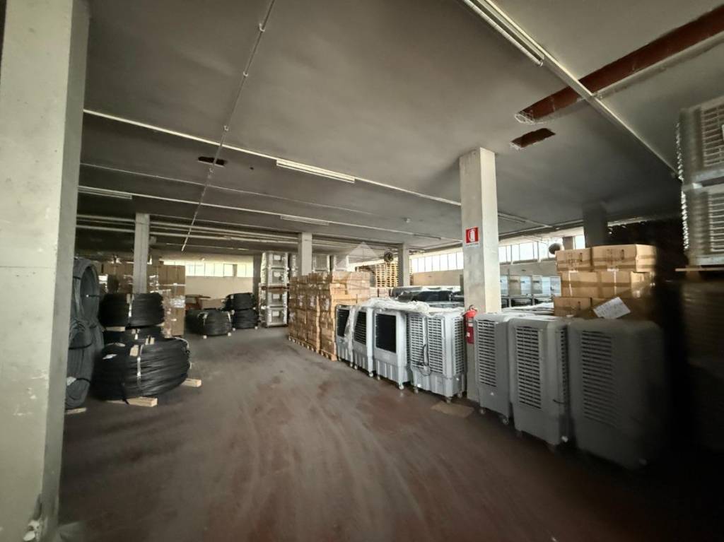 immagine annuncio 9 di 15