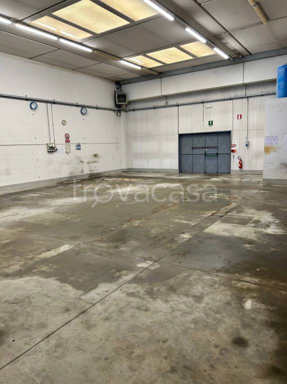 immagine annuncio 2 di 6