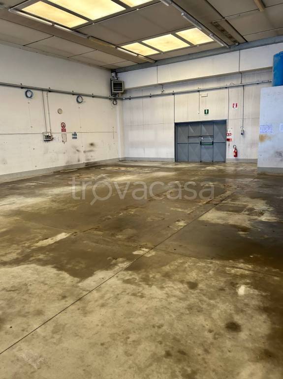 immagine annuncio 3 di 6