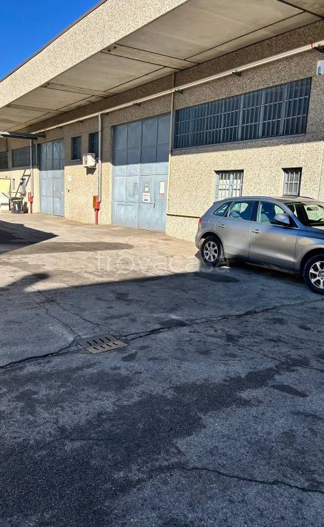 immagine annuncio 4 di 6