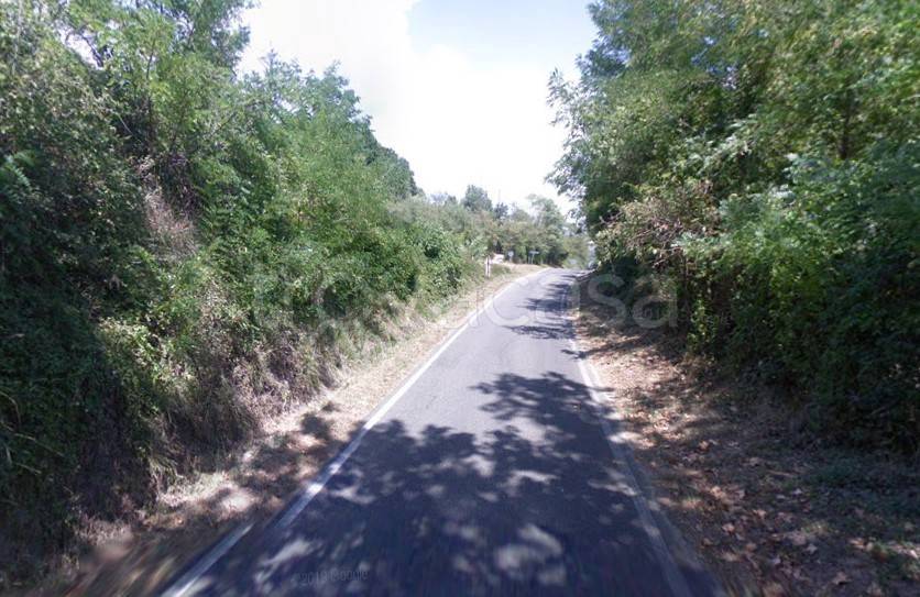 immagine annuncio 3 di 8