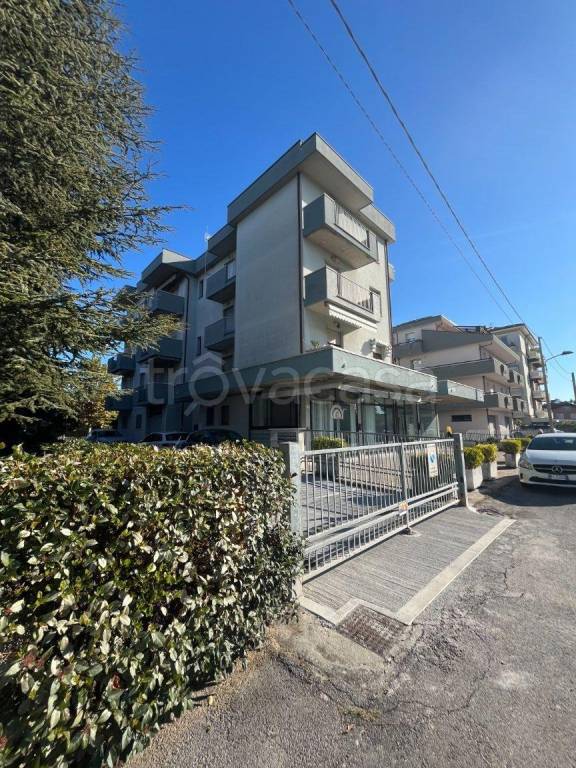 immagine annuncio 2 di 4