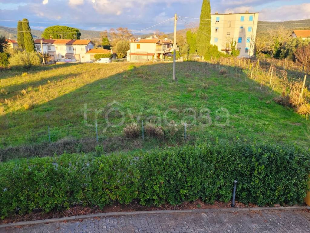 immagine annuncio 1 di 3