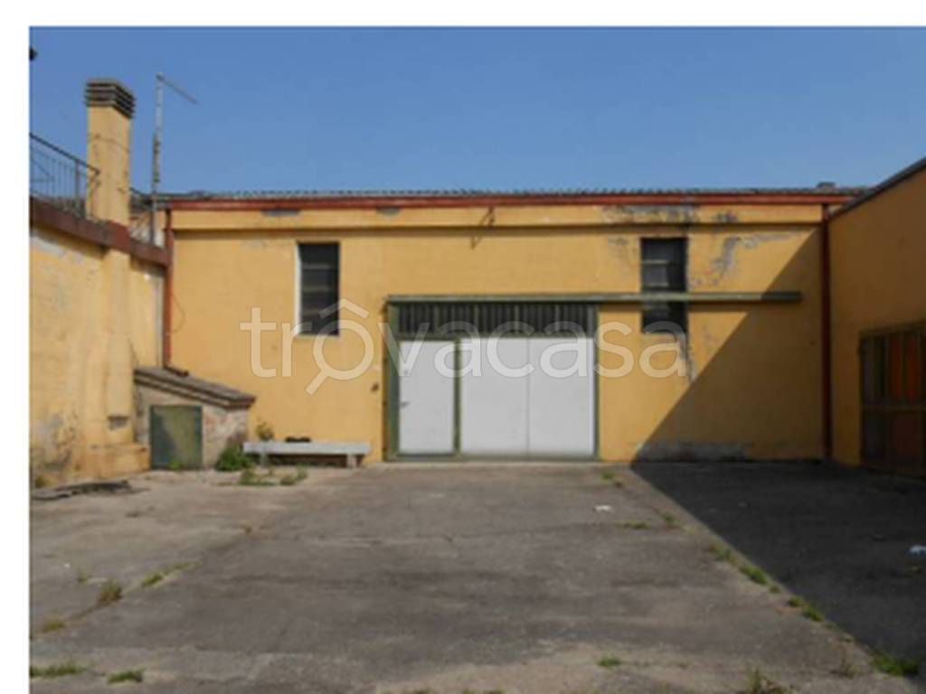 immagine annuncio 2 di 14