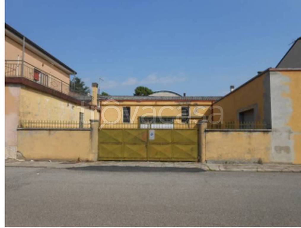 immagine annuncio 4 di 14