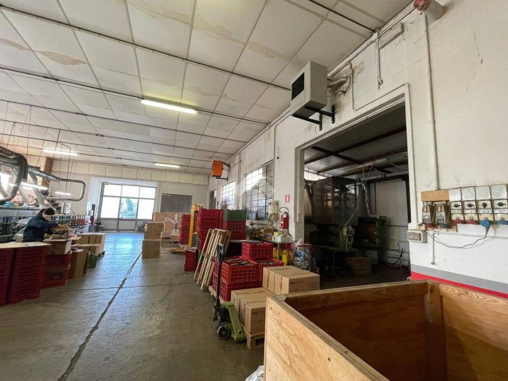 immagine annuncio 10 di 15