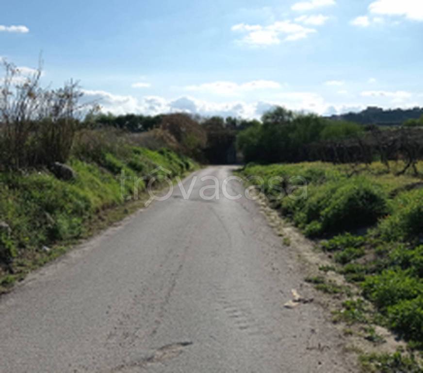 immagine annuncio 4 di 8