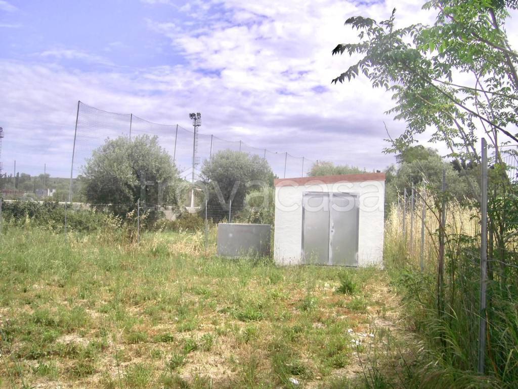 immagine annuncio 10 di 12