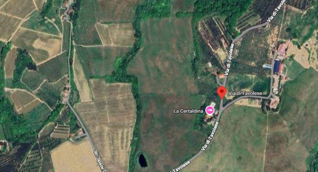 immagine annuncio 9 di 11