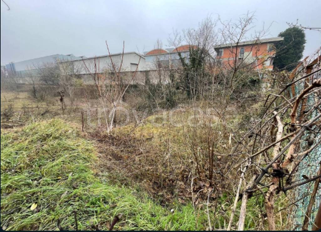 immagine annuncio 2 di 11