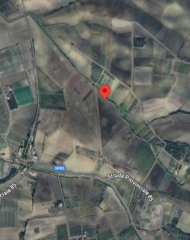 immagine annuncio 1 di 14