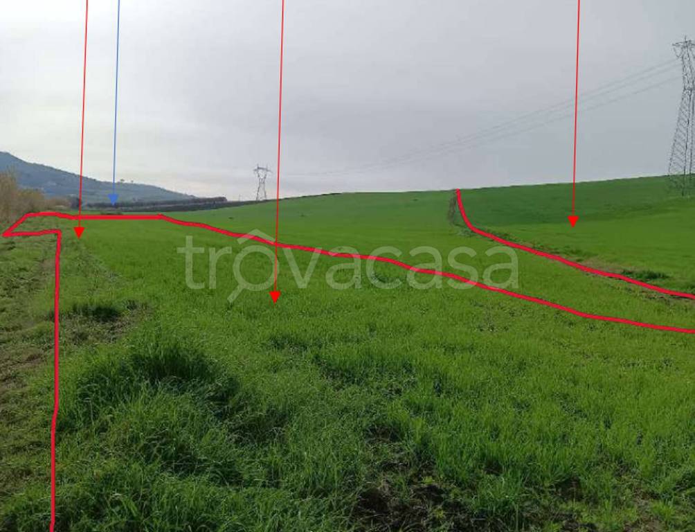 immagine annuncio 5 di 14