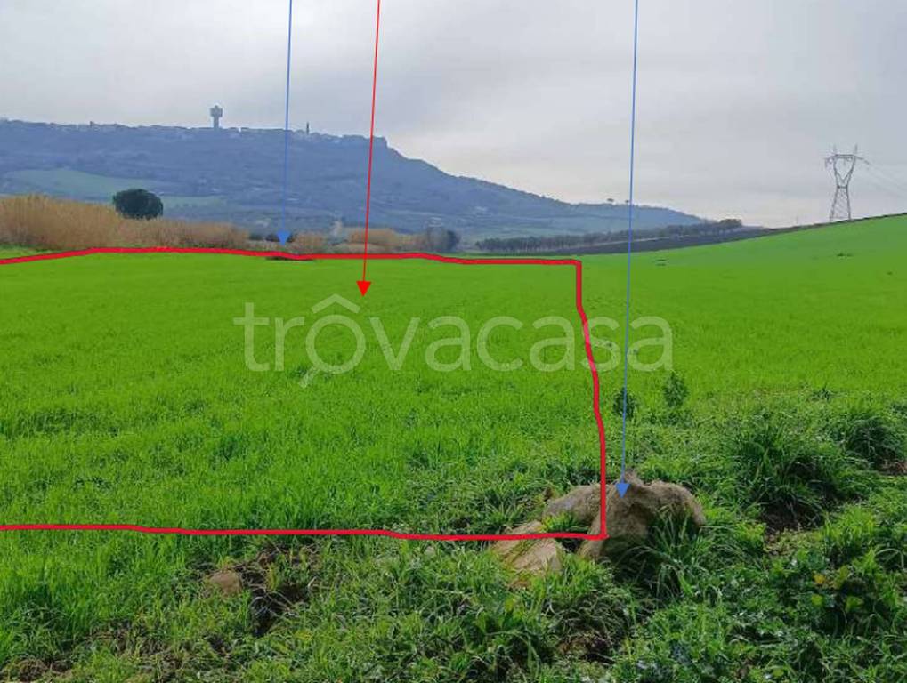 immagine annuncio 6 di 14