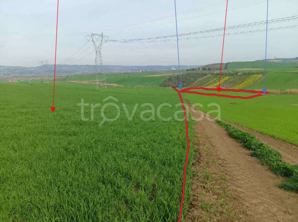 immagine annuncio 7 di 14