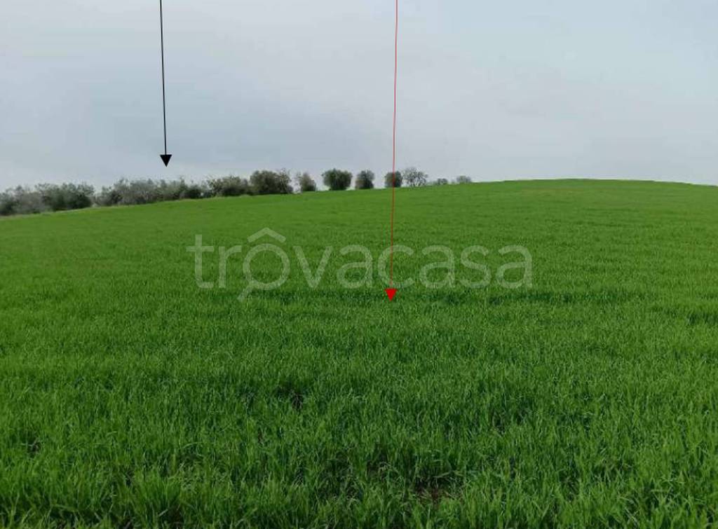 immagine annuncio 8 di 14