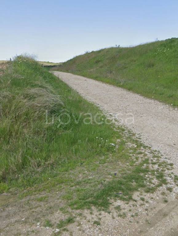 immagine annuncio 9 di 14