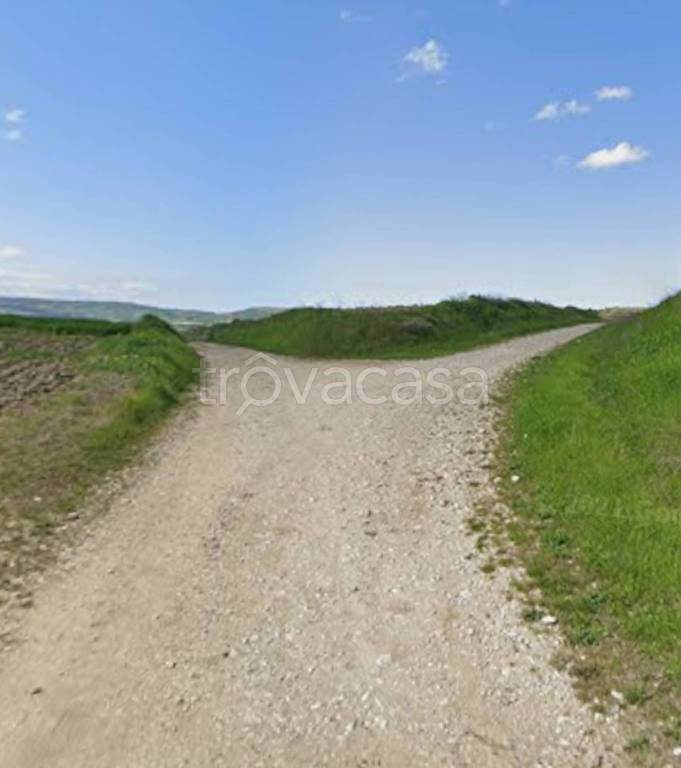 immagine annuncio 12 di 14