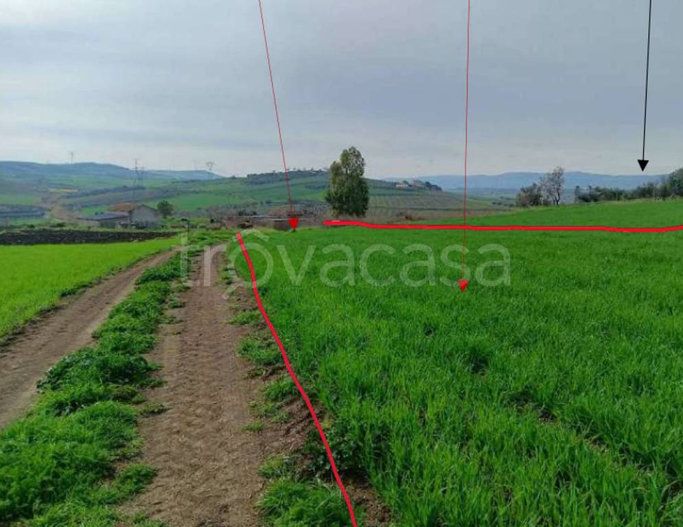 immagine annuncio 13 di 14