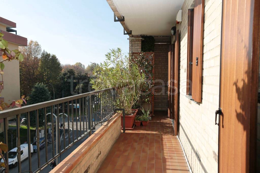 immagine annuncio 8 di 15