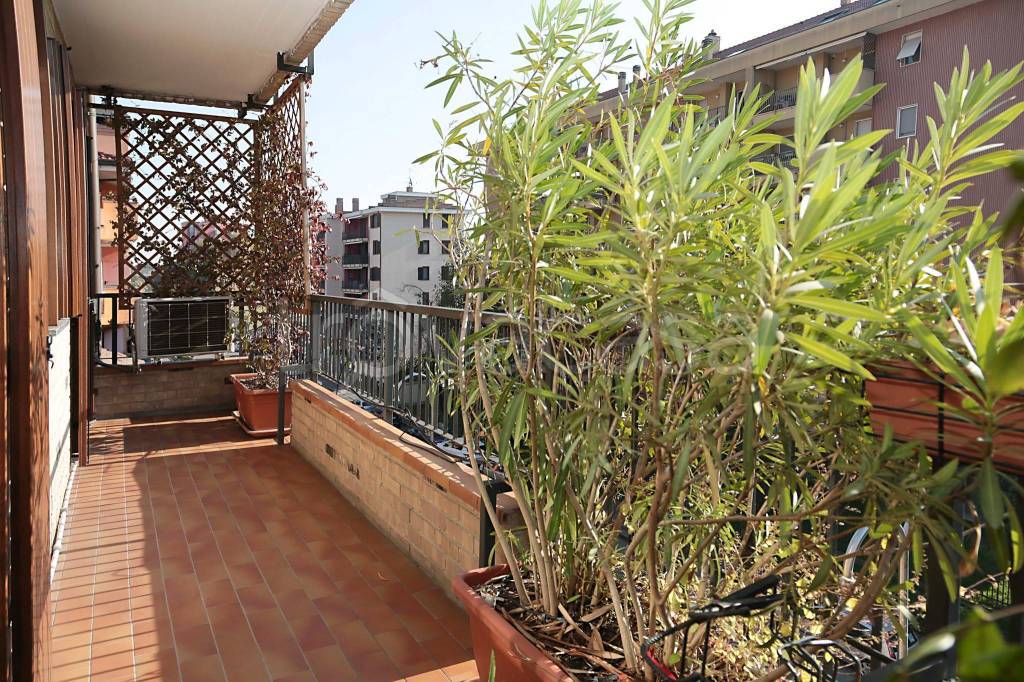 immagine annuncio 7 di 15